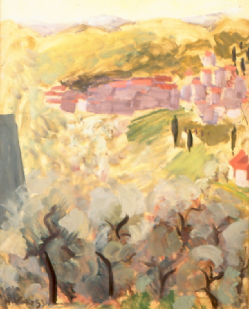 181 environs de st paul de vence 2