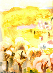 180 environs st paul de vence1