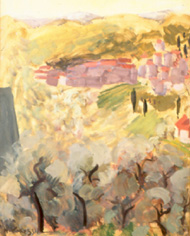 181 environs st paul de vence2